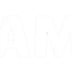 FF GAMESTORE LOGO